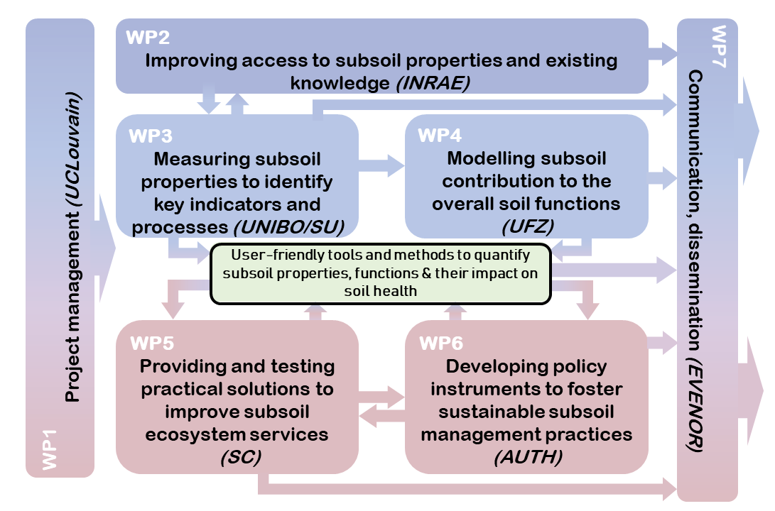 Structure of work packages in DeepHorizon